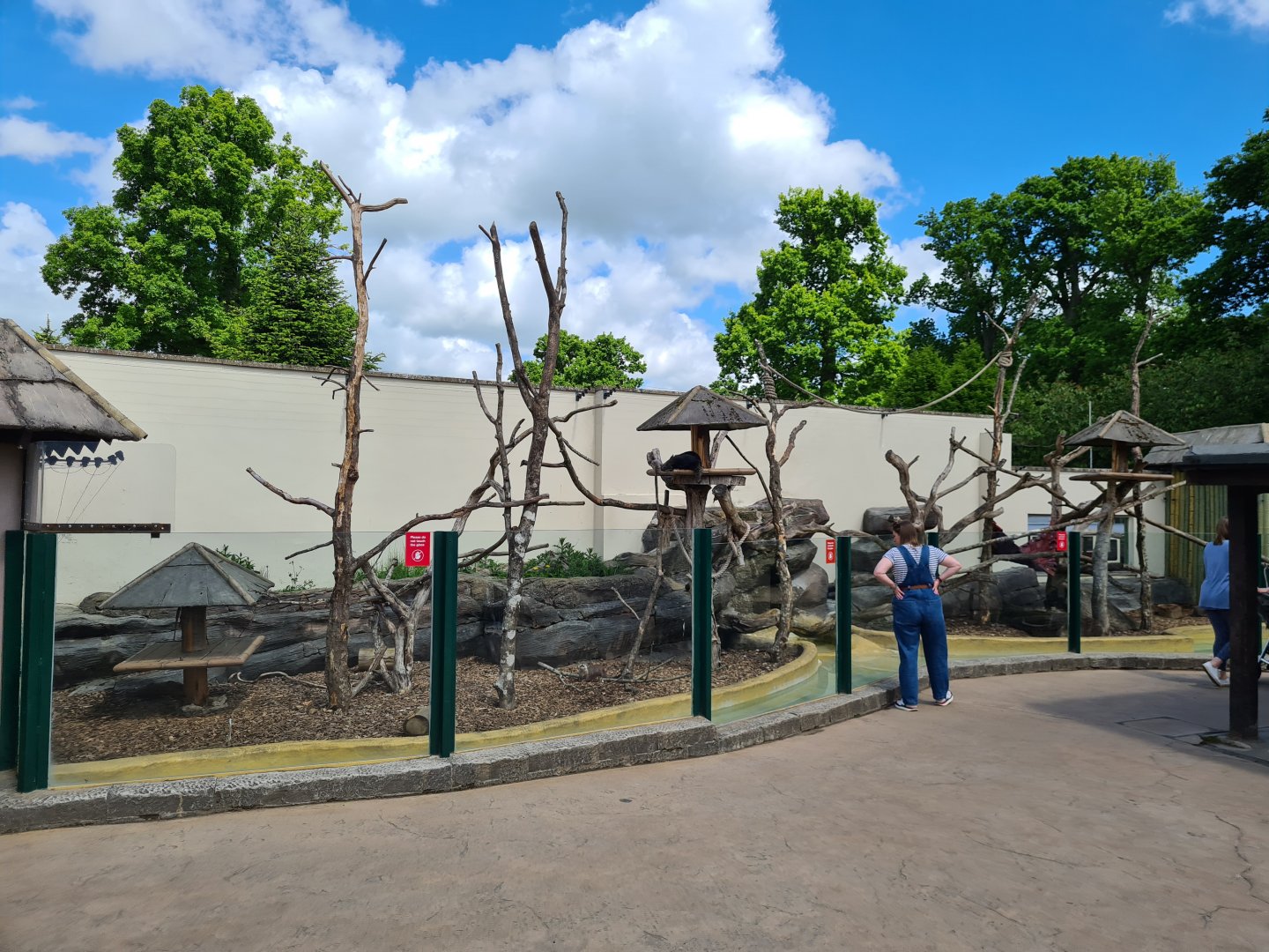 Binturong/ASCO exhibit, Longleat.