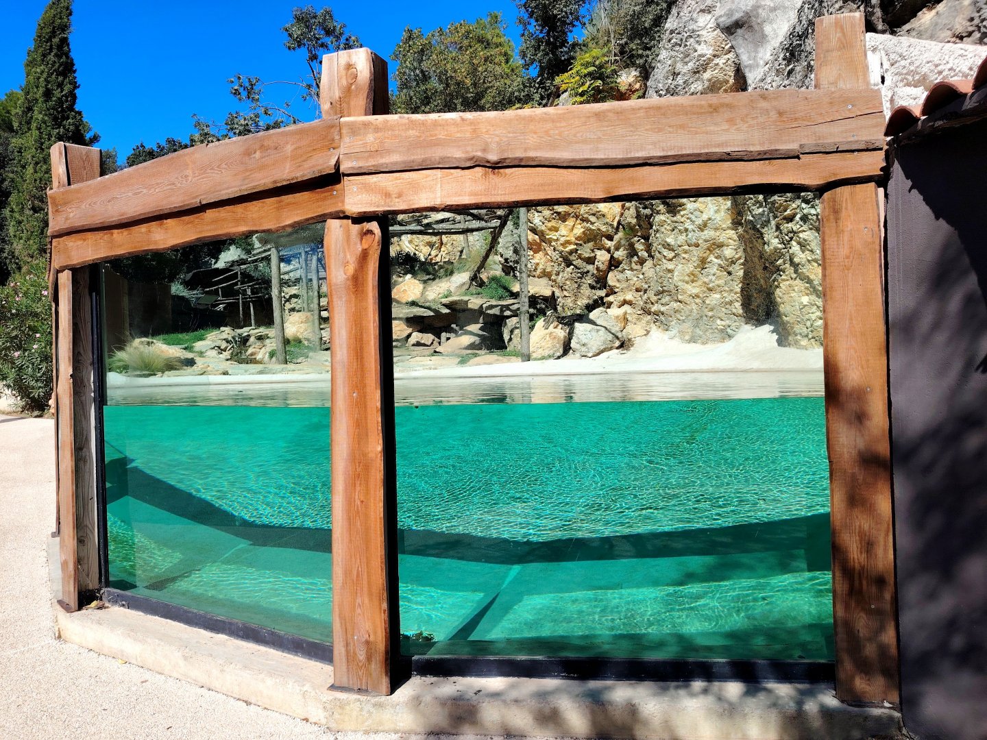 Binturong & Asian small-clawed Otter Exhibit