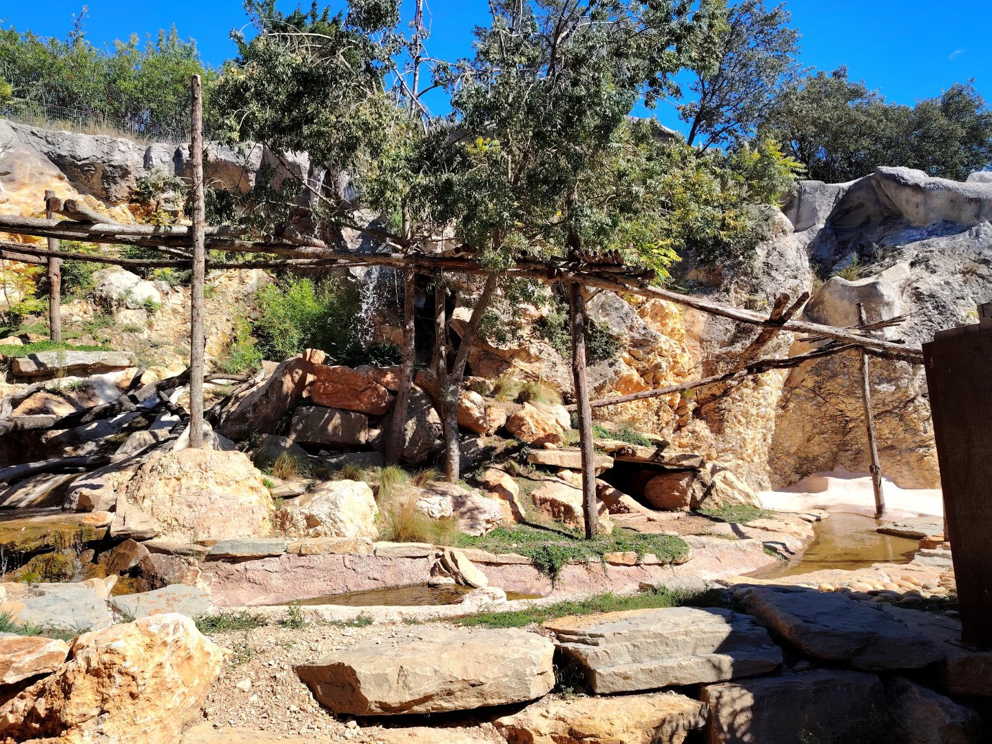 Binturong & Asian small-clawed Otter Exhibit