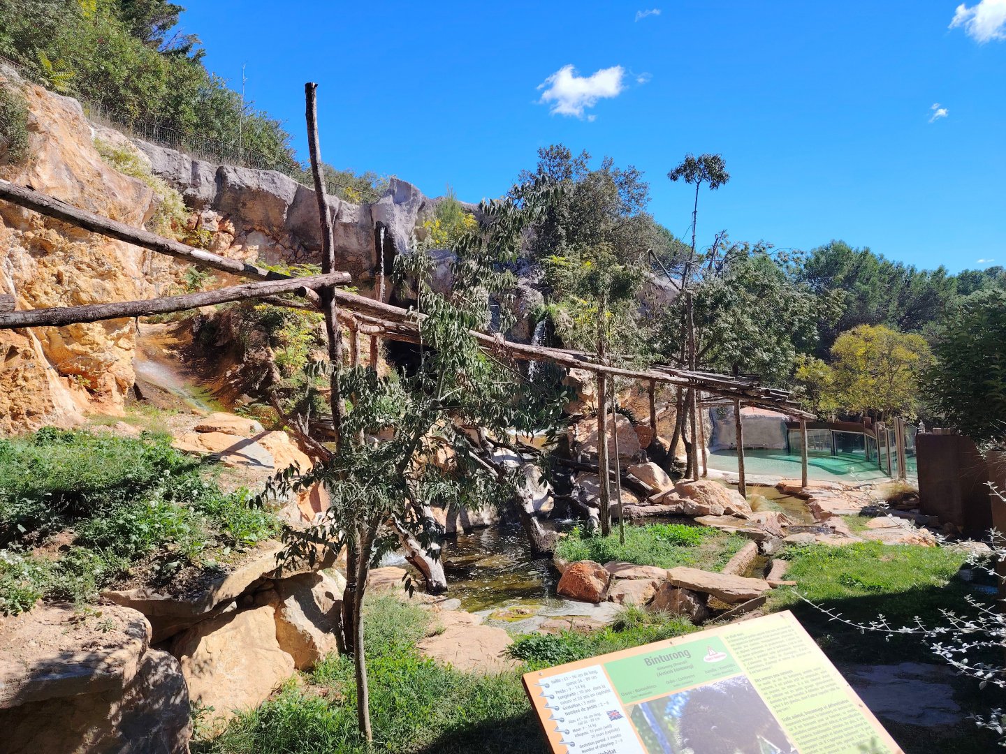 Binturong & Asian small-clawed Otter Exhibit