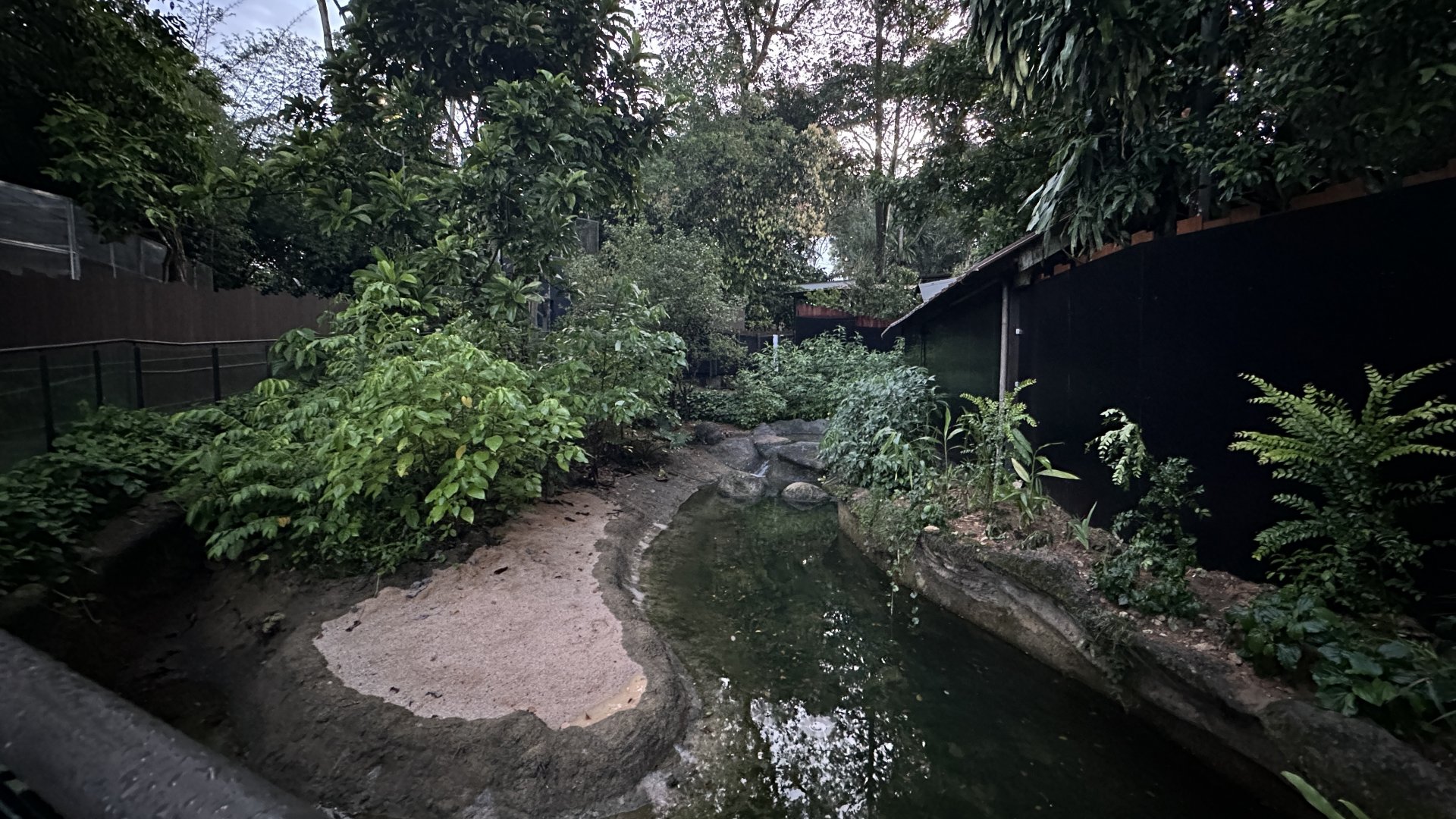 Binturong & Asian Small-clawed Otters Exhibit at Pangolin Trail