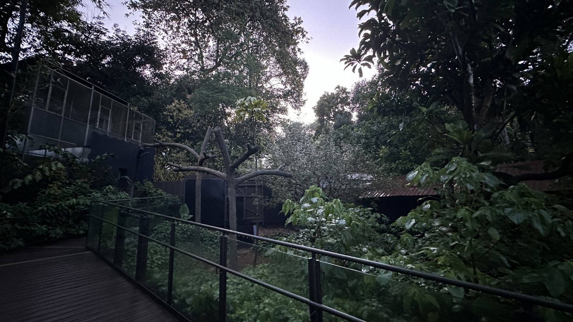 Binturong & Asian Small-clawed Otters Exhibit at Pangolin Trail