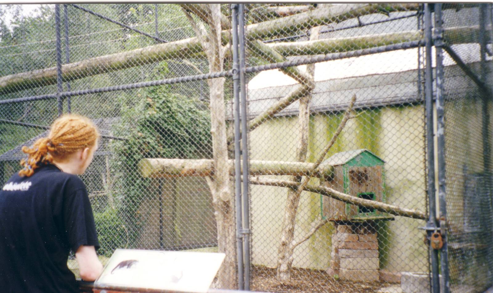 Binturong cage, 11 August 1999