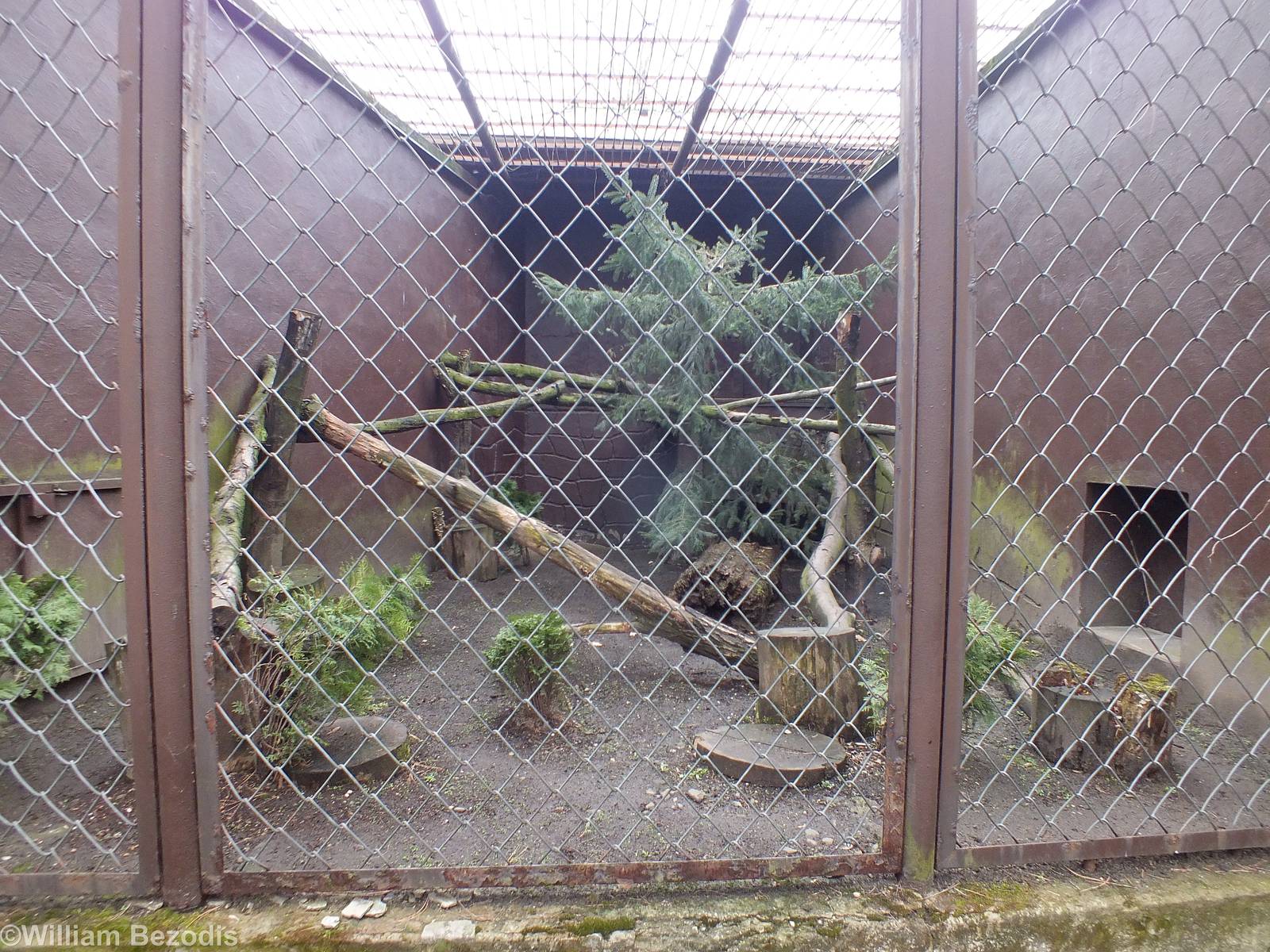 Binturong Cage - India / Big Cat House