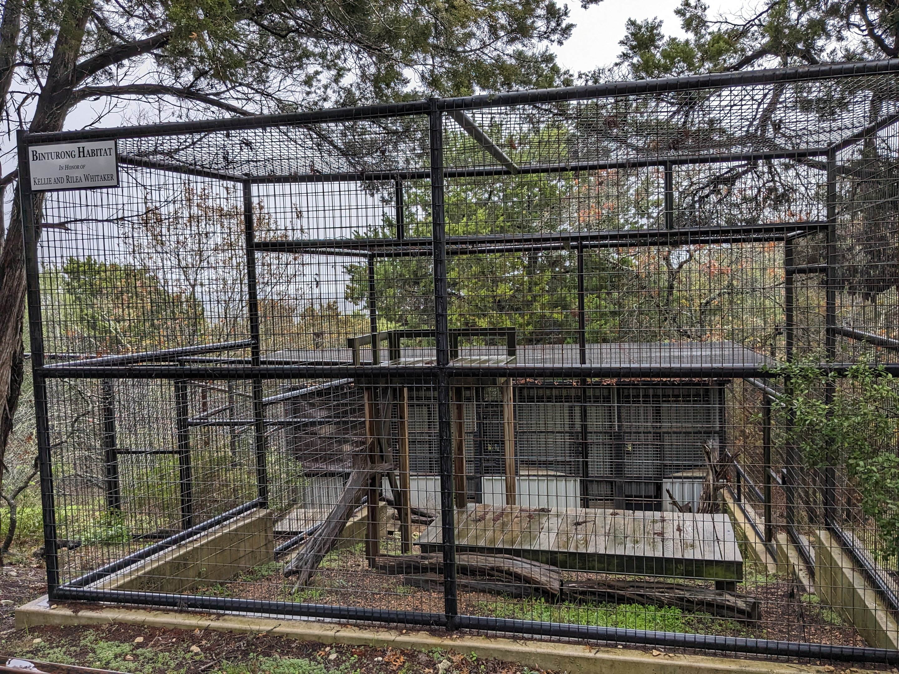 Binturong cage