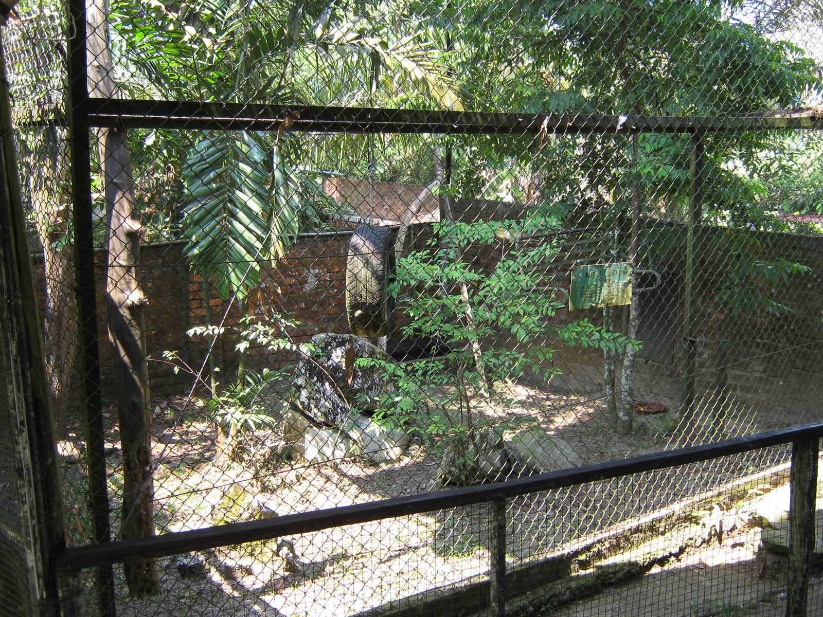 binturong cage
