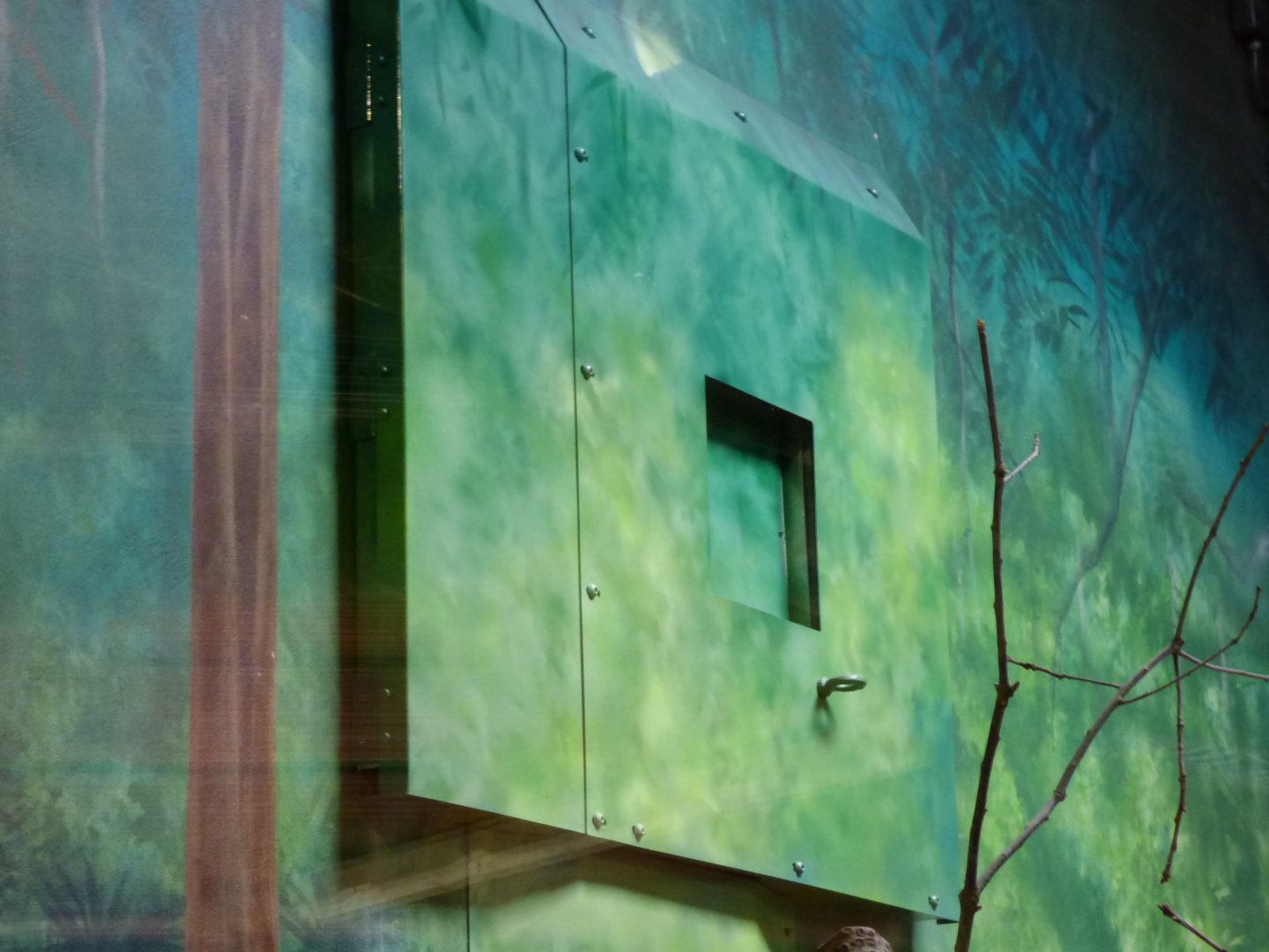 Binturong door (In Sun Bear enclosure)