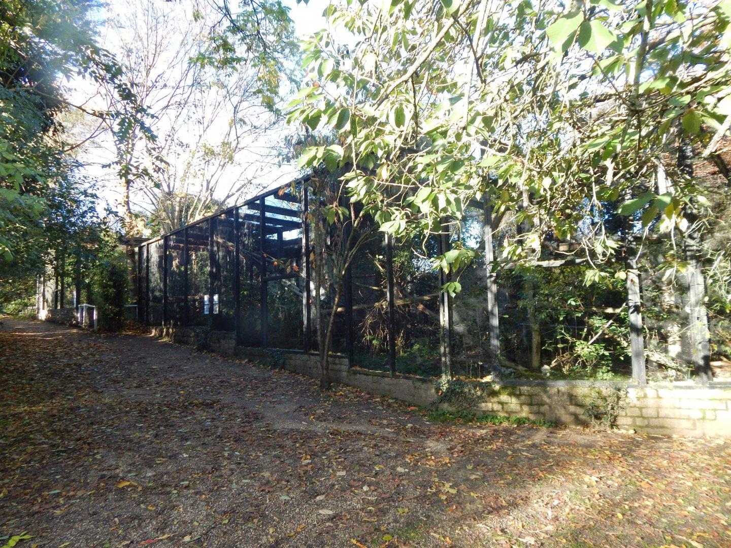 Binturong enclosure 011125