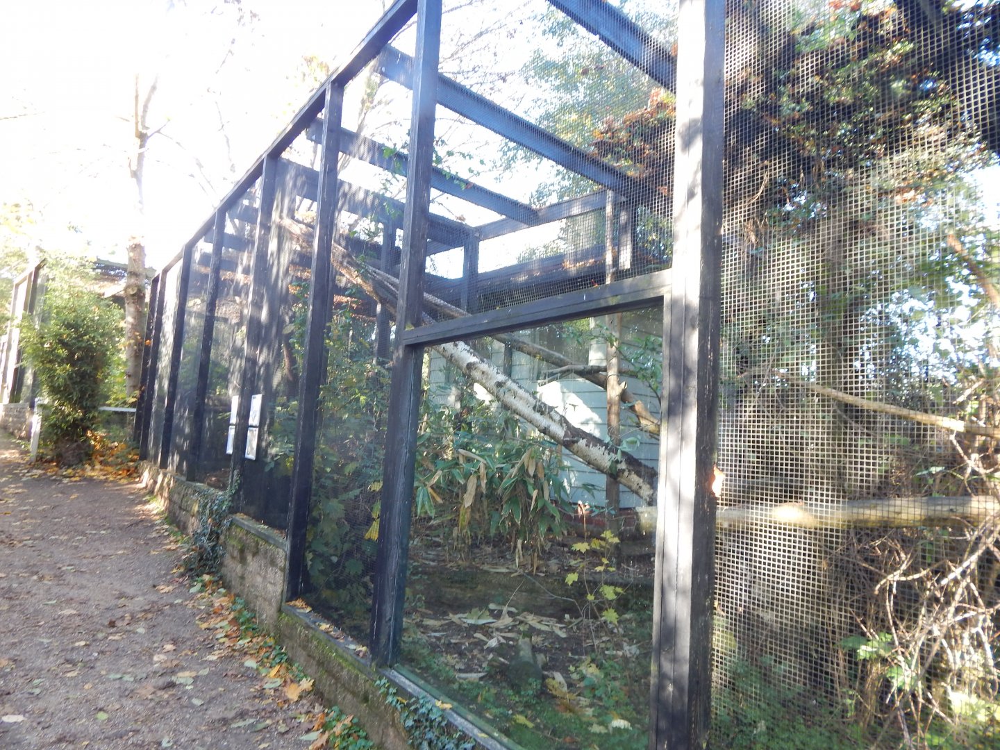 Binturong enclosure 011125