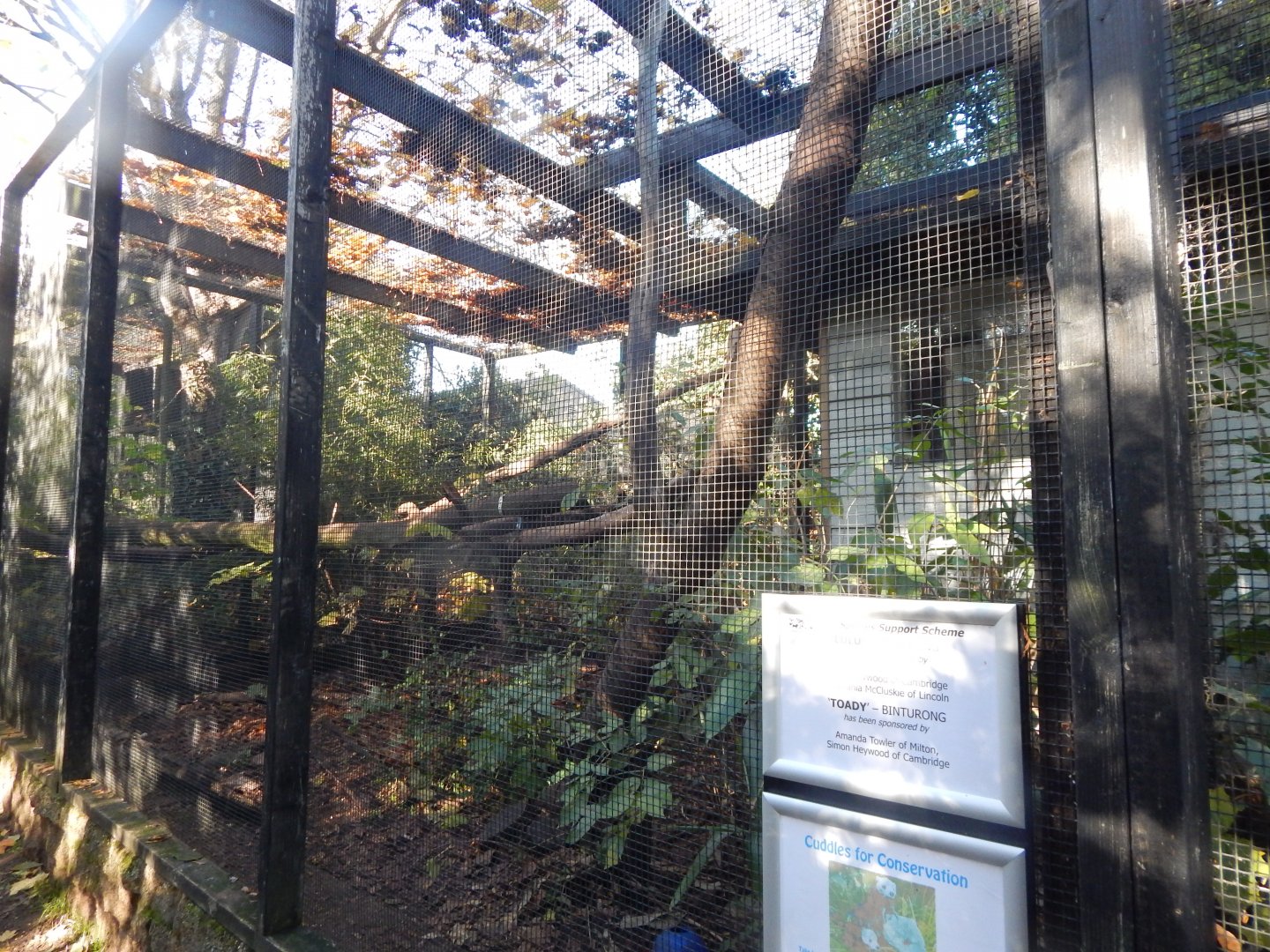 Binturong enclosure 011125
