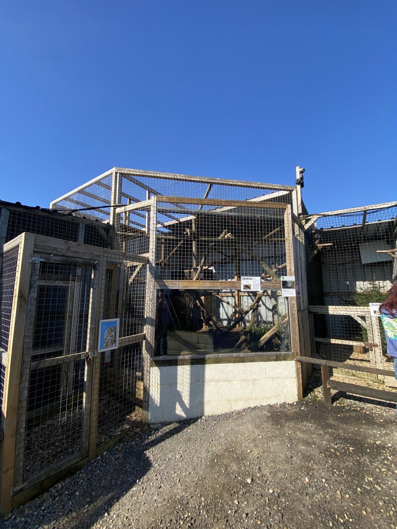 Binturong enclosure 020325