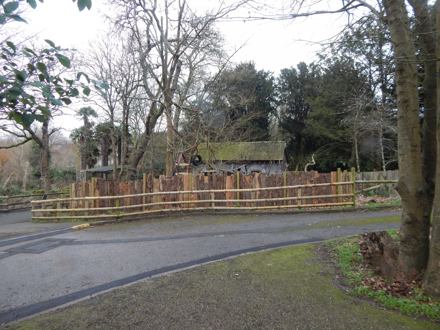 Binturong enclosure 050224