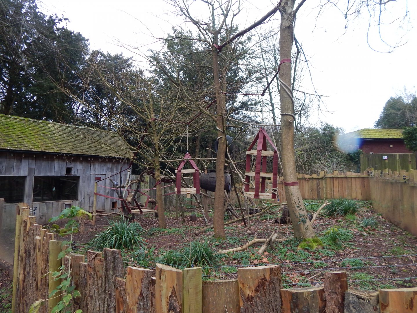 Binturong enclosure 050224