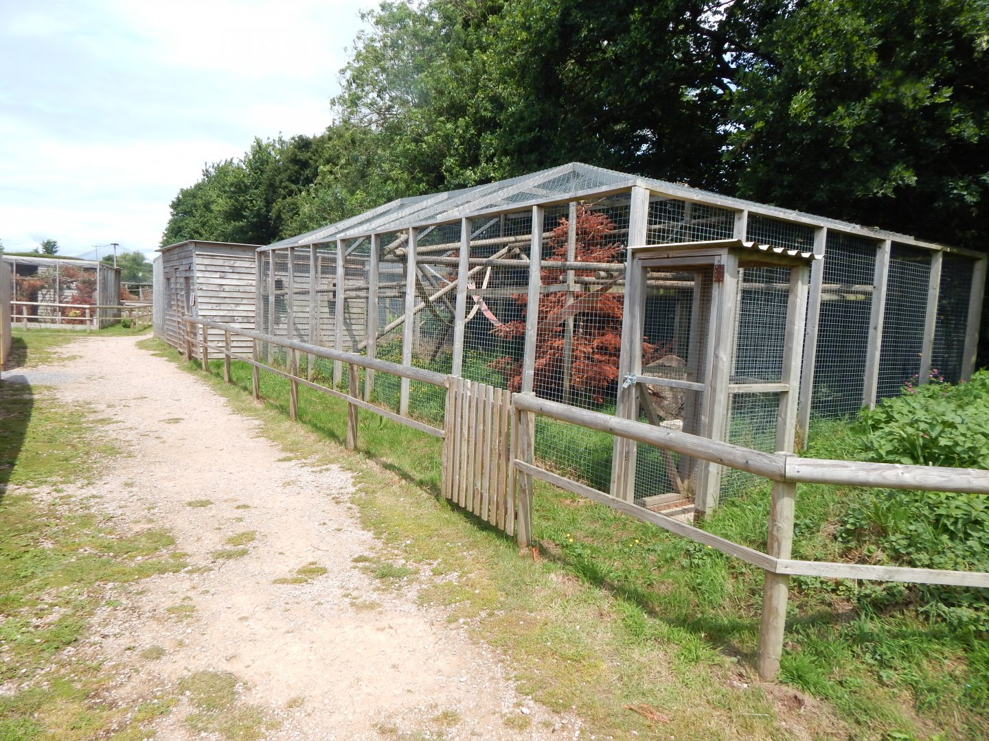 Binturong enclosure 060625