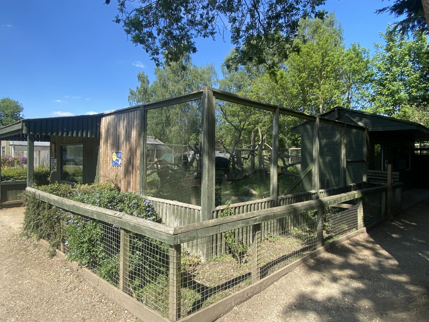 Binturong enclosure 090525