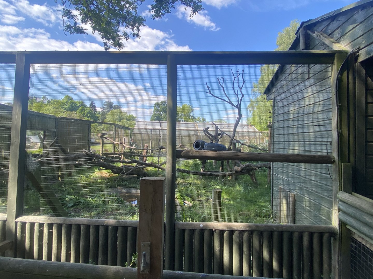 Binturong enclosure 090525