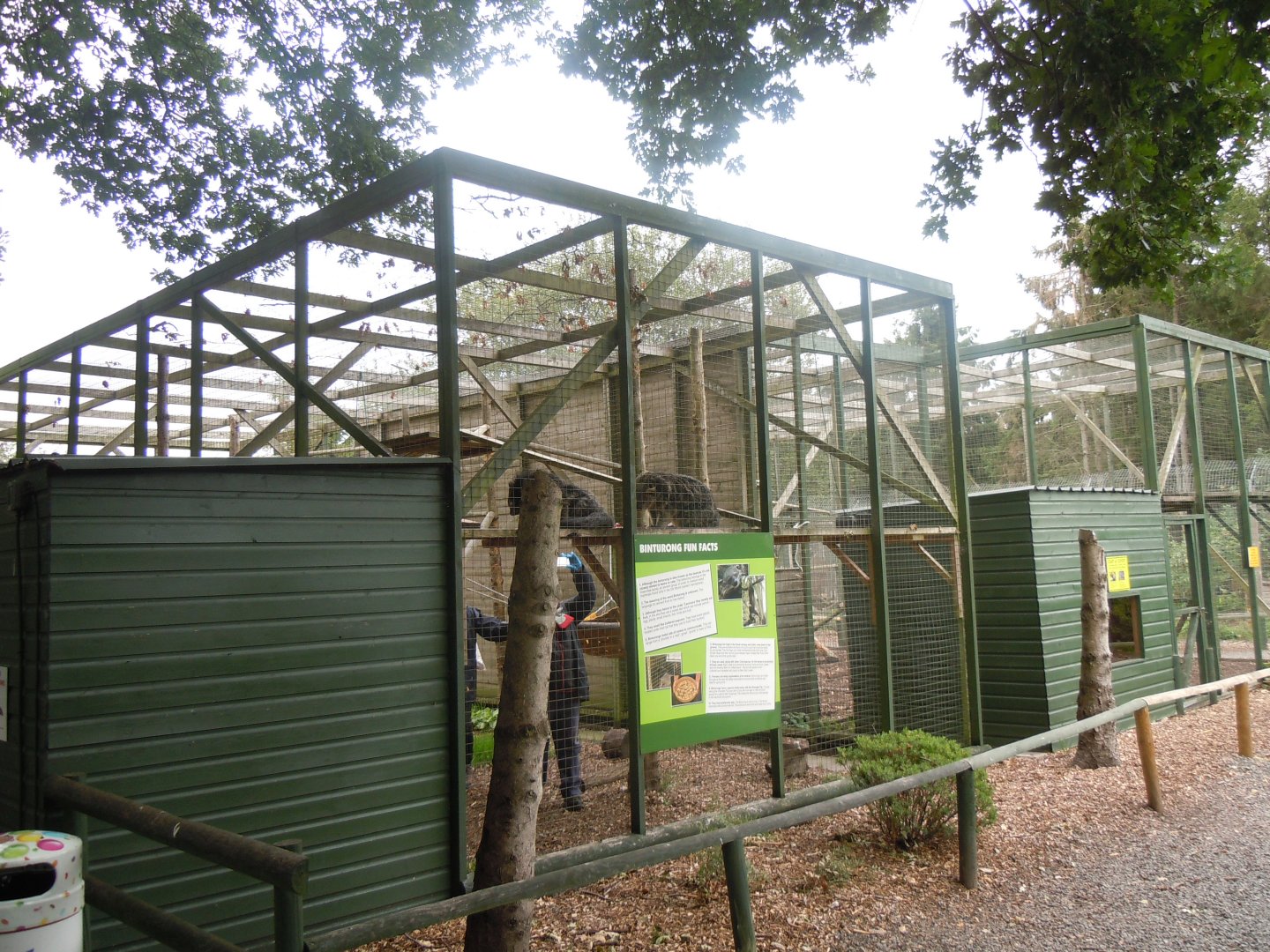 Binturong enclosure 100920