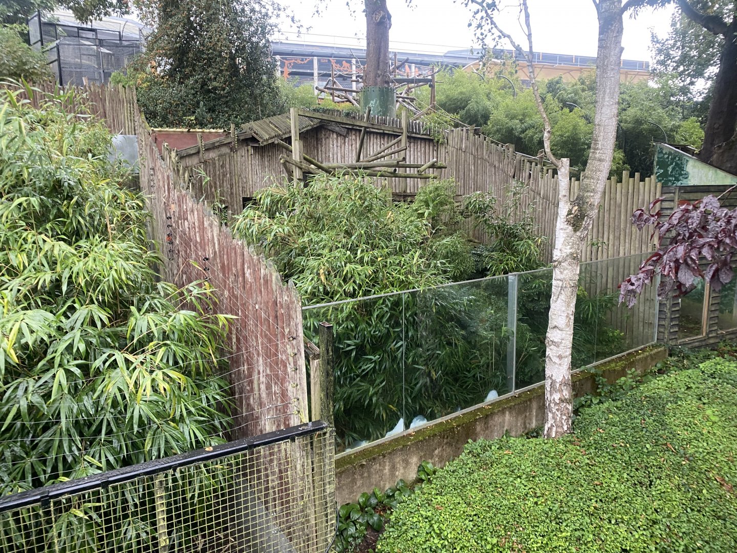 Binturong enclosure 110925