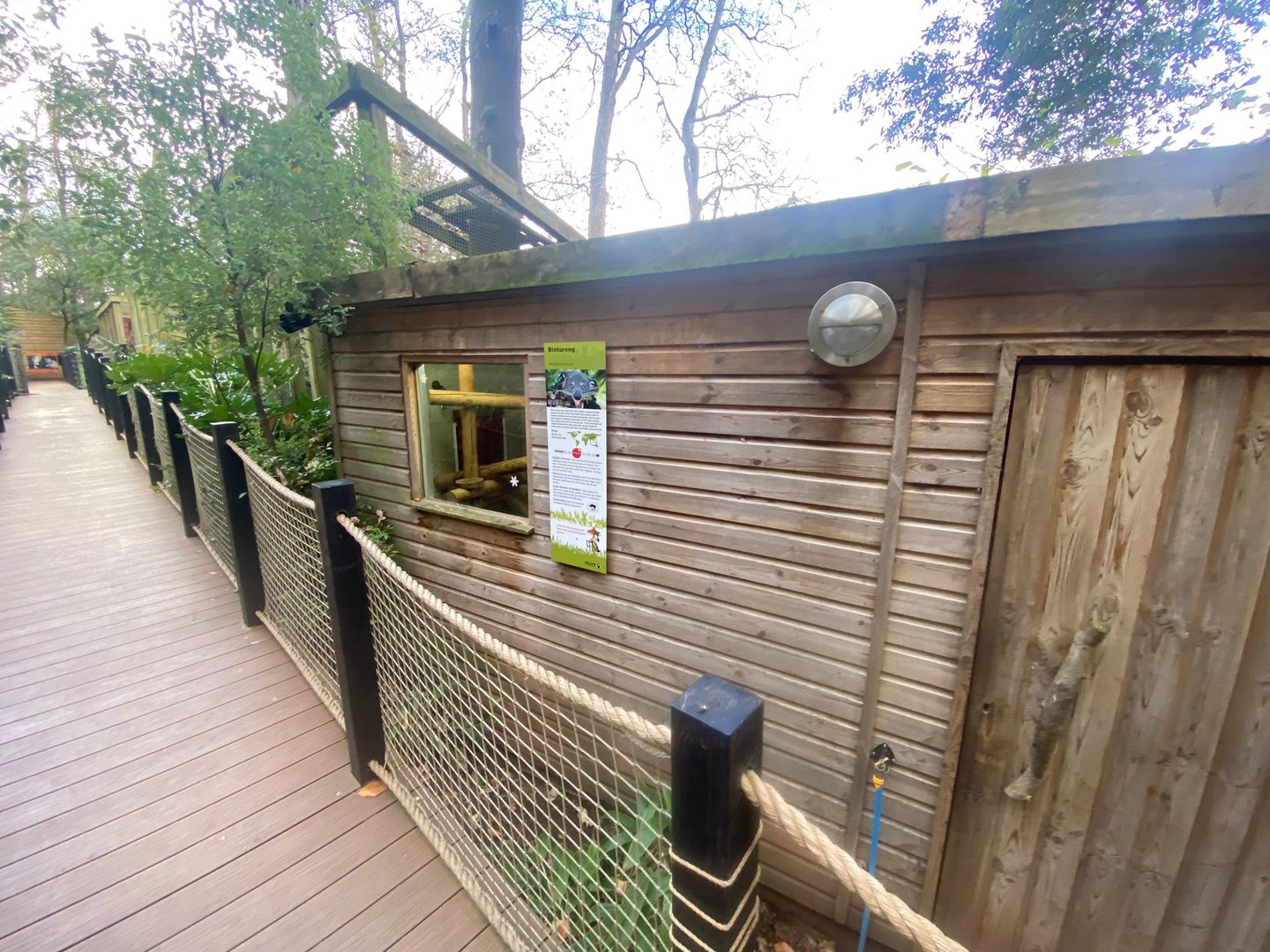 Binturong enclosure 111222