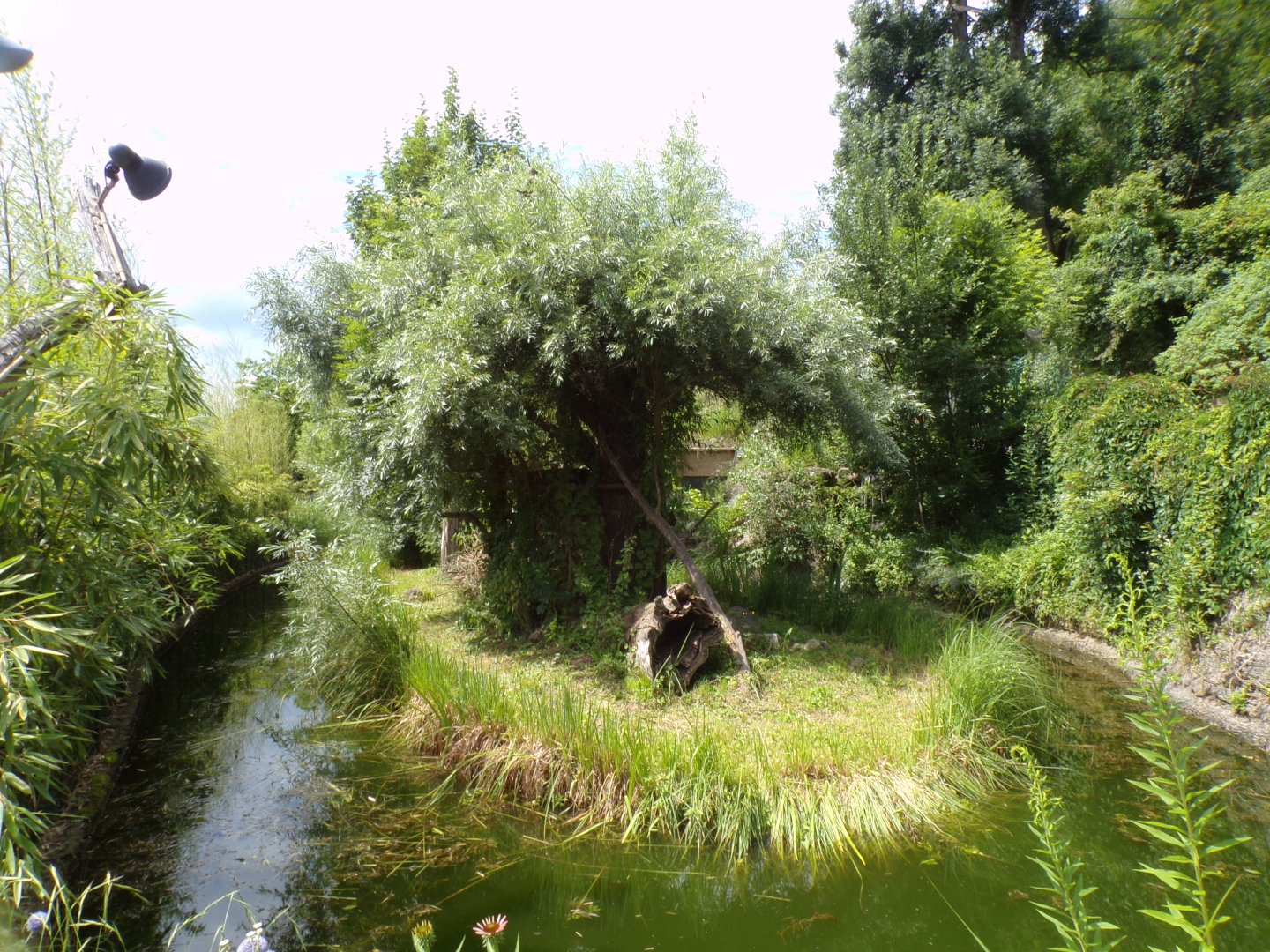 Binturong enclosure 13.7.25