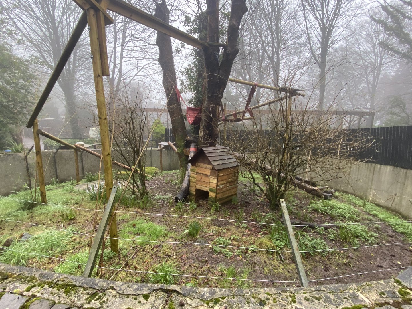 Binturong enclosure 140224