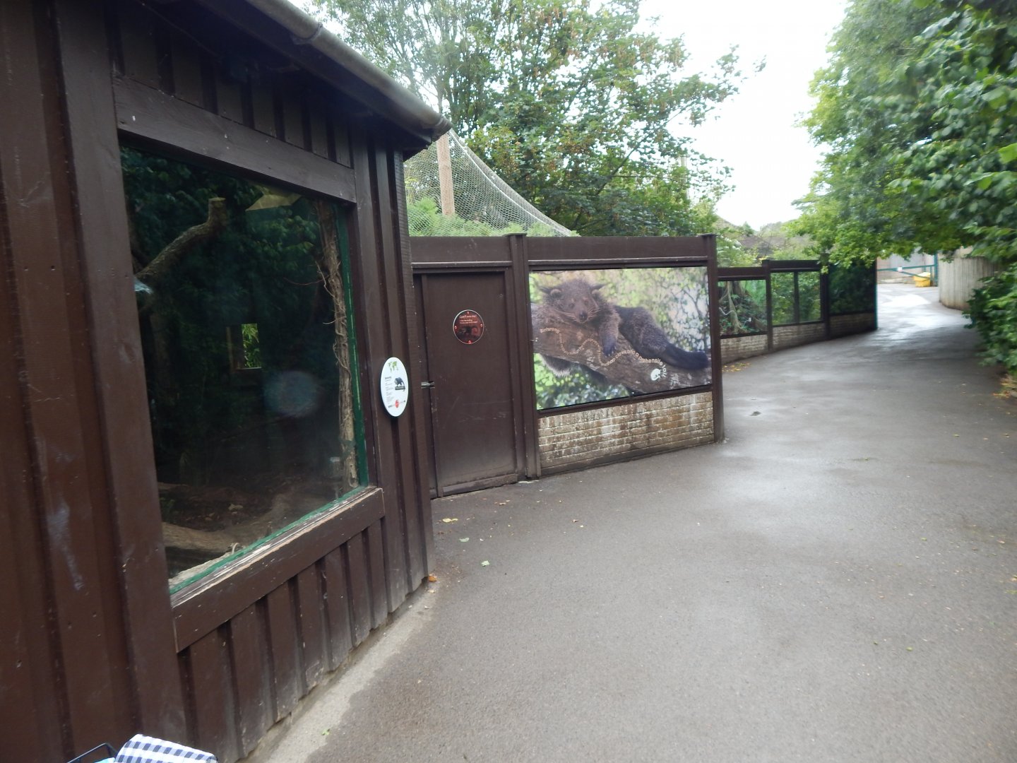 Binturong enclosure 150725