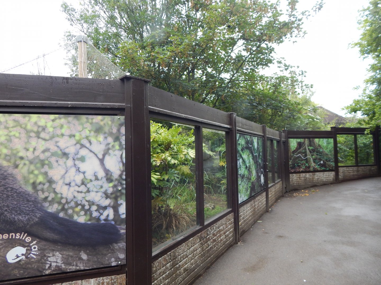 Binturong enclosure 150725