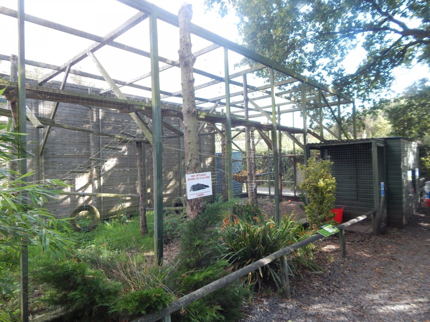 Binturong enclosure 160921
