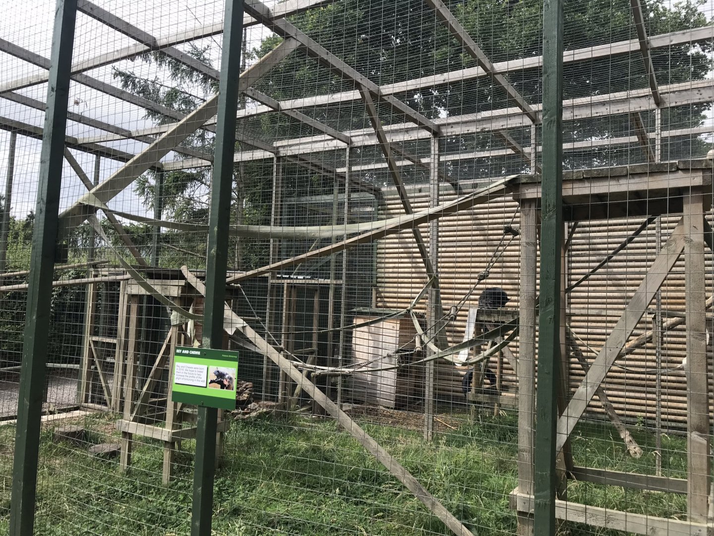 Binturong enclosure 210718