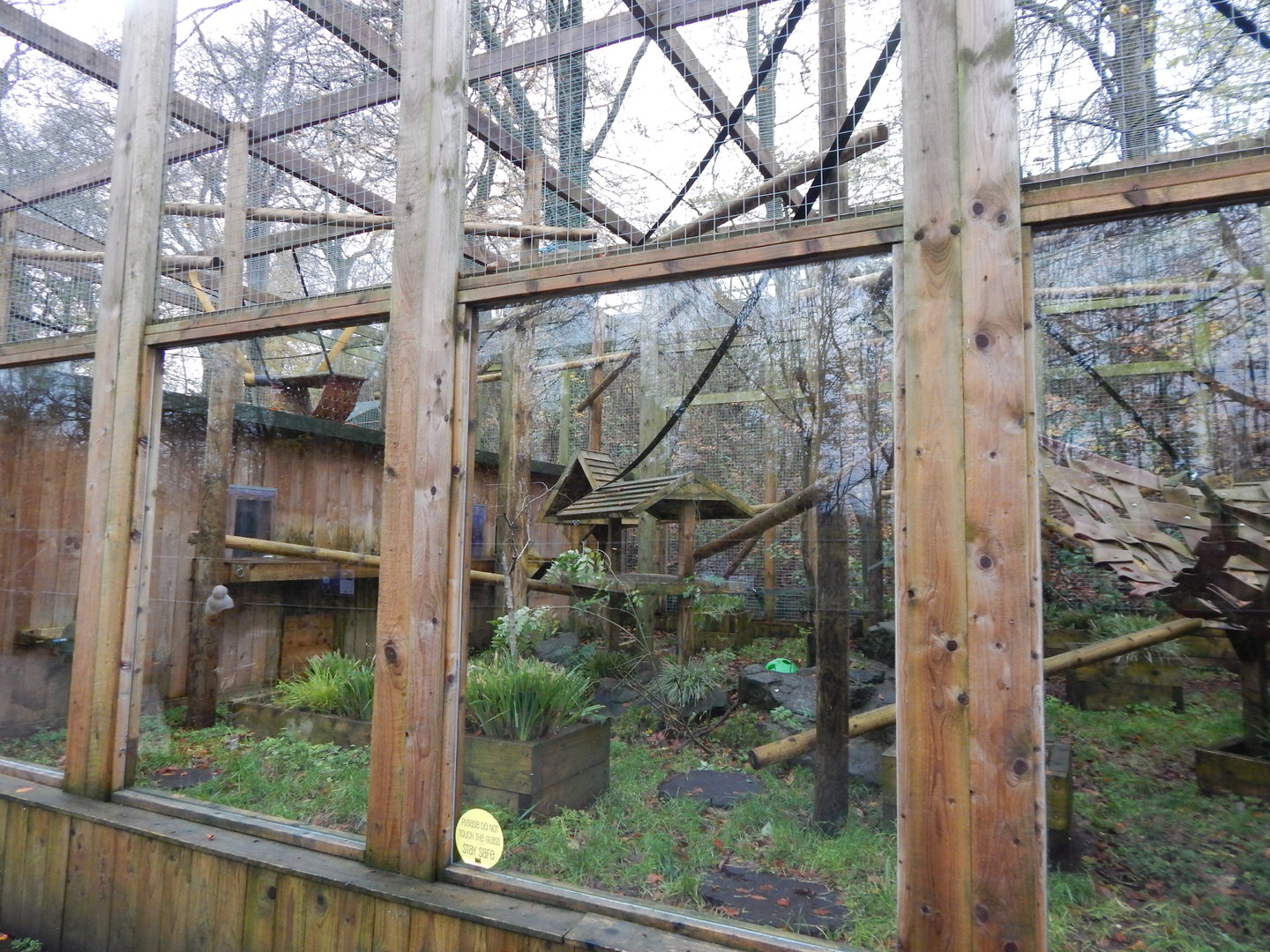 Binturong enclosure 241122
