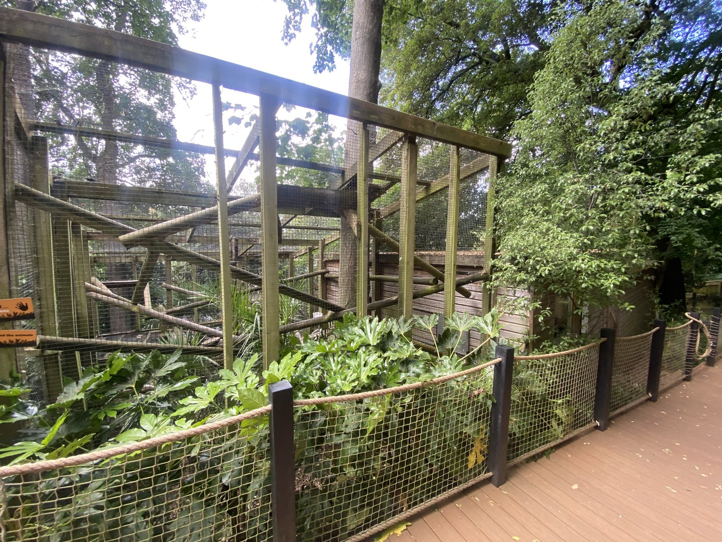 Binturong enclosure 250623