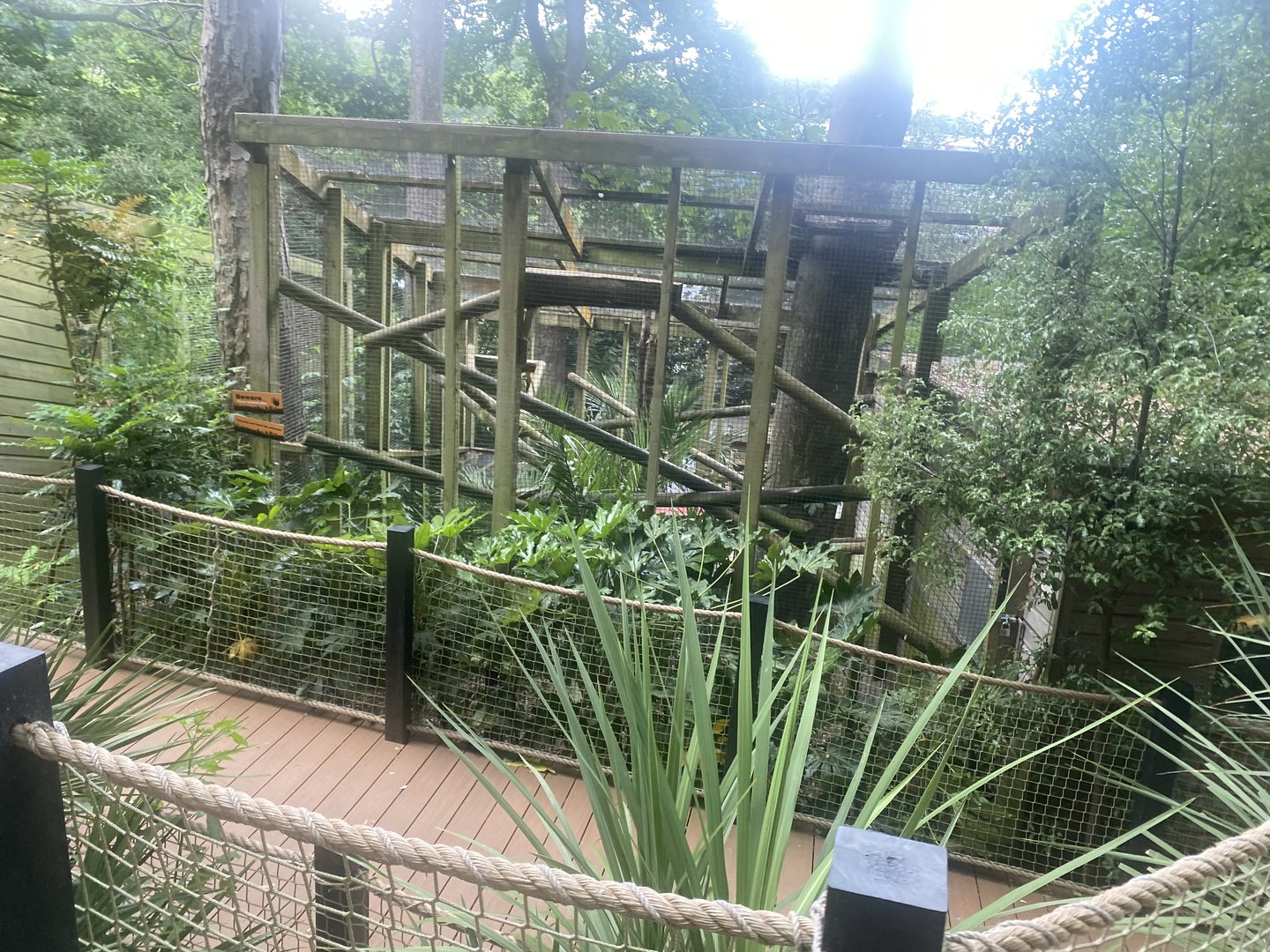 Binturong enclosure 250623