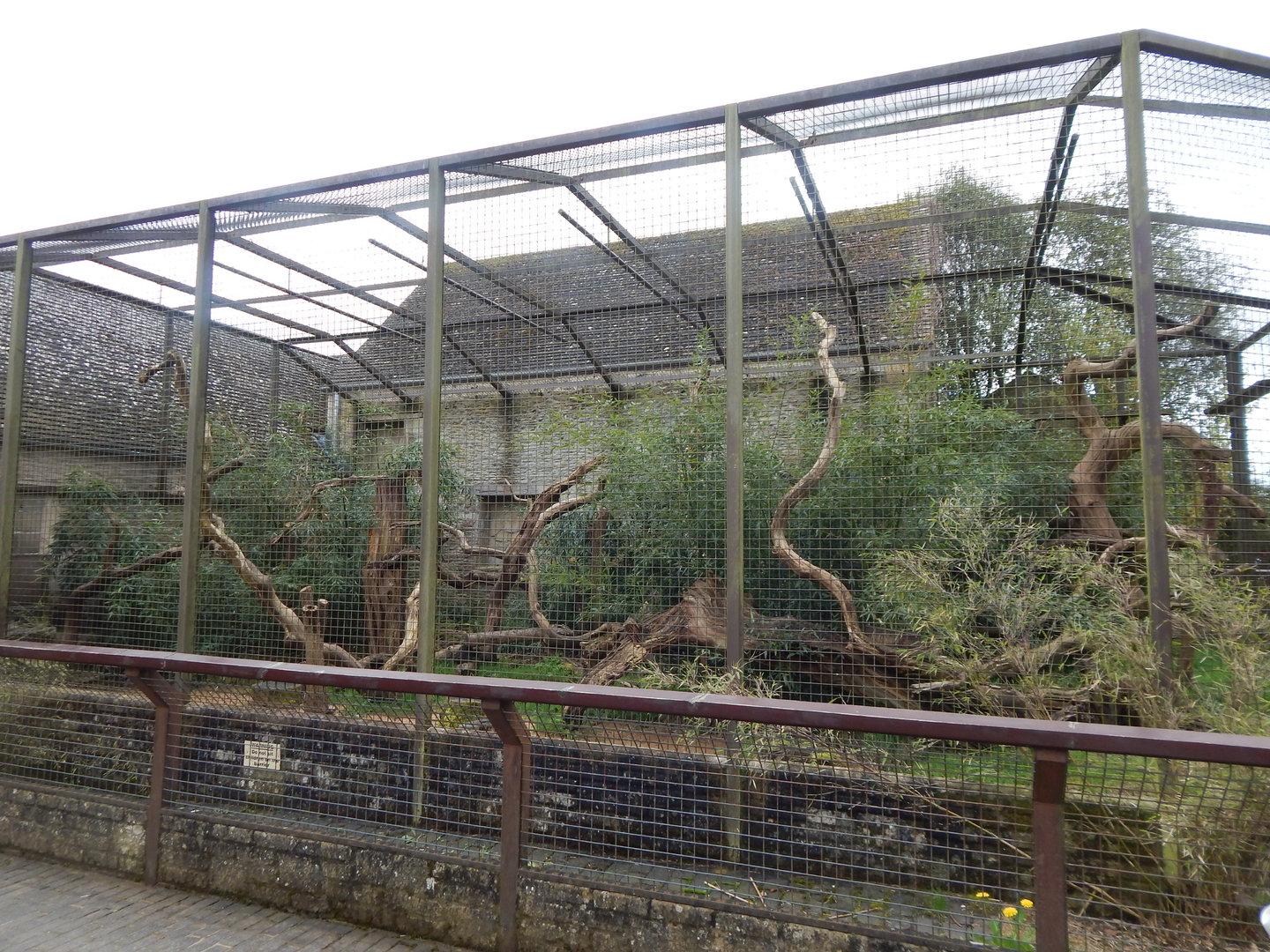 Binturong enclosure 280423