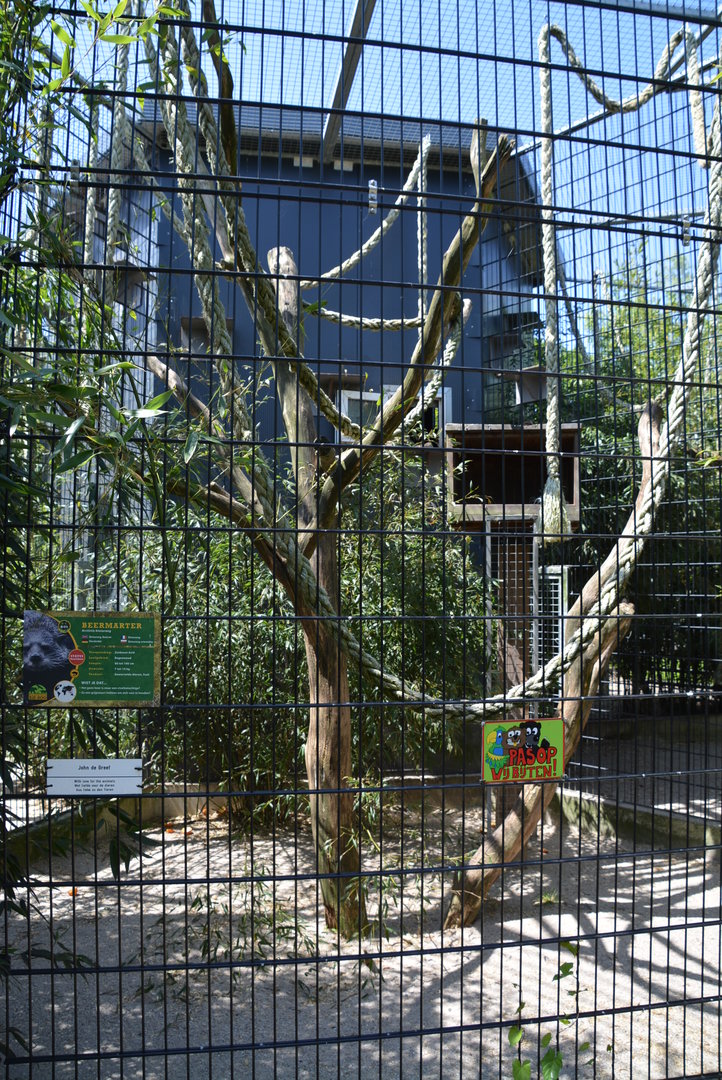 Binturong enclosure 30/05/2023