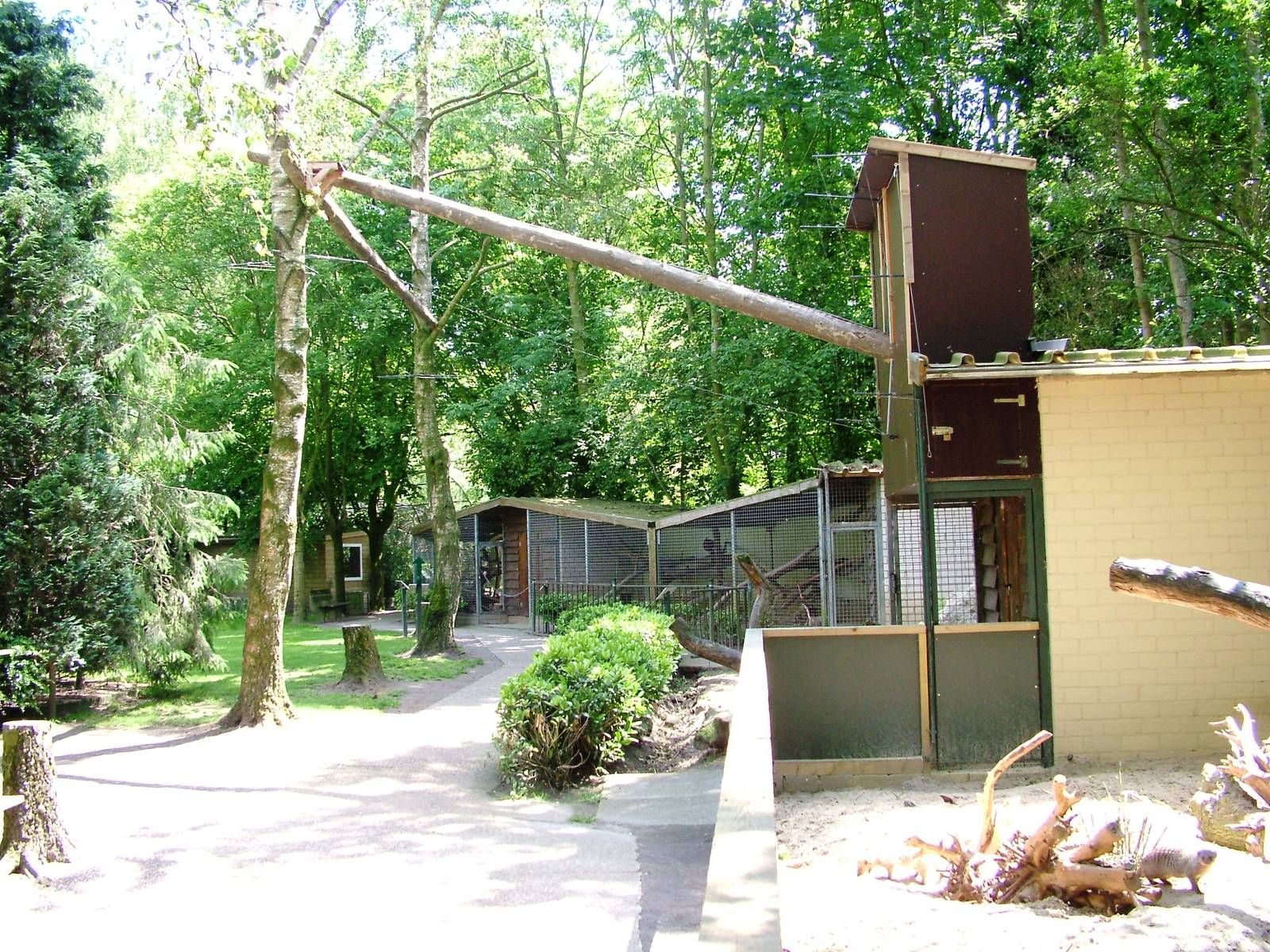 Binturong Enclosure at Best, 02/06/12