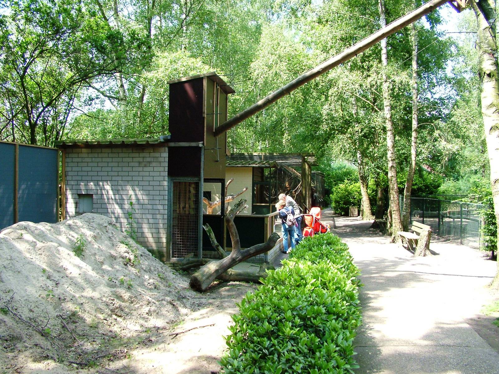 Binturong Enclosure at Best, 02/06/12