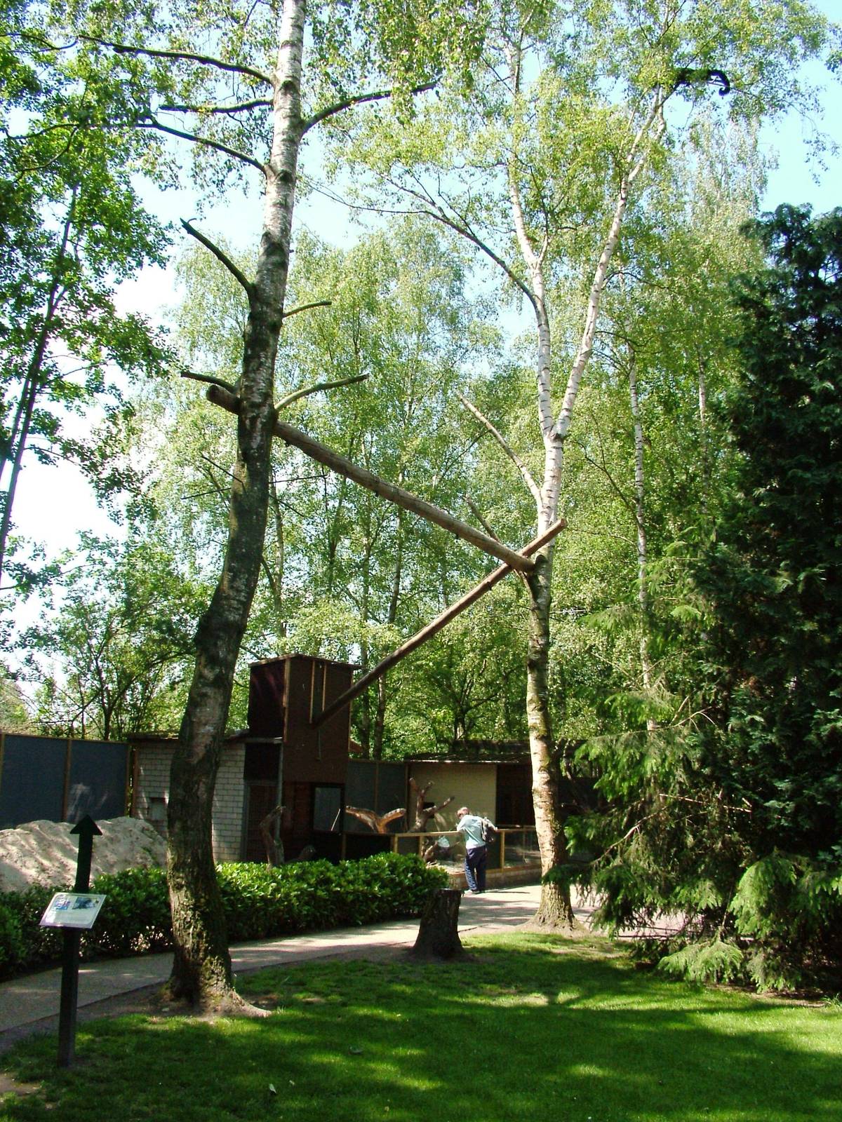 Binturong Enclosure at Best, 02/06/12