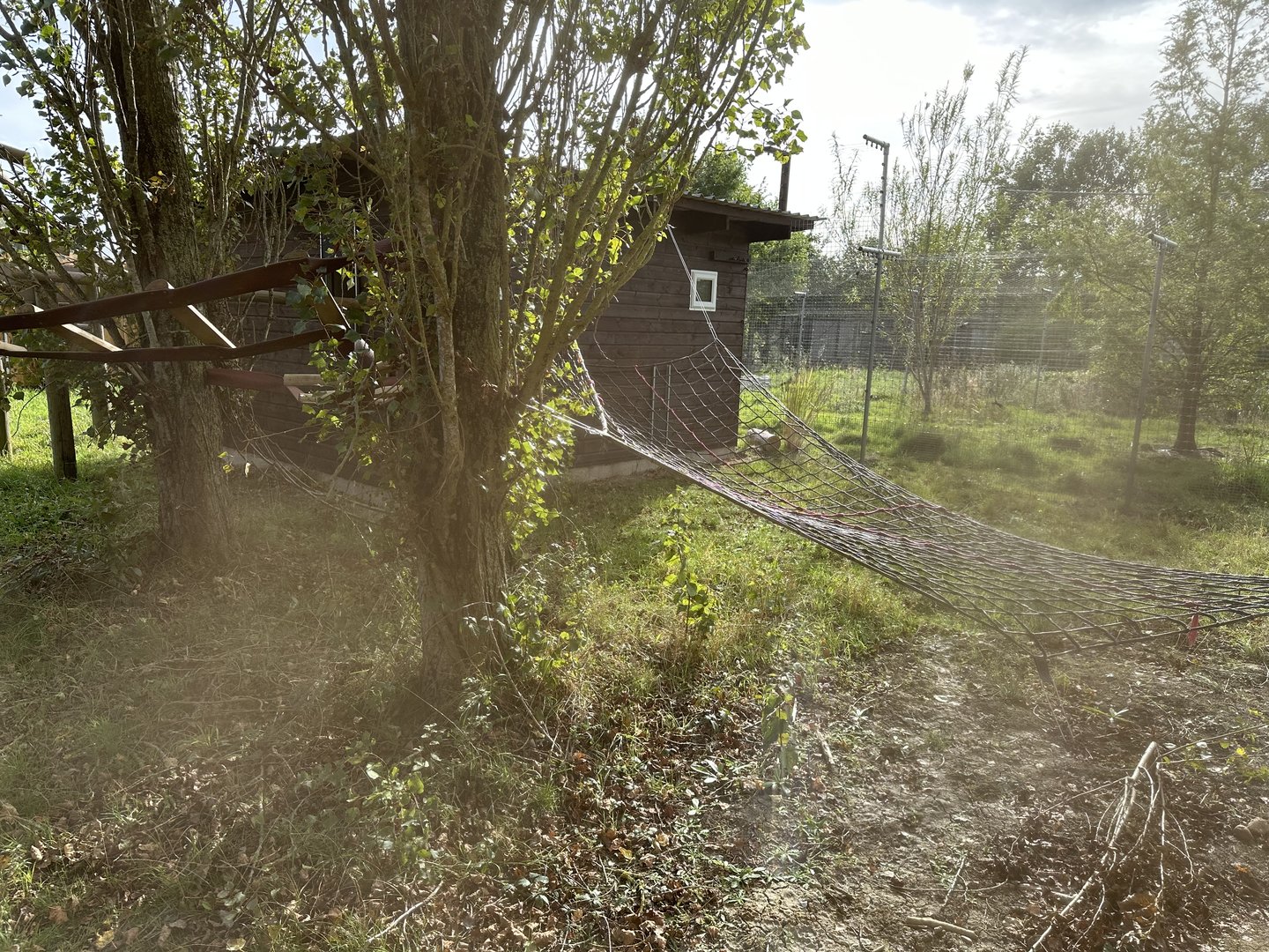 Binturong Enclosure at Hamerton Zoo Park (October 2023)
