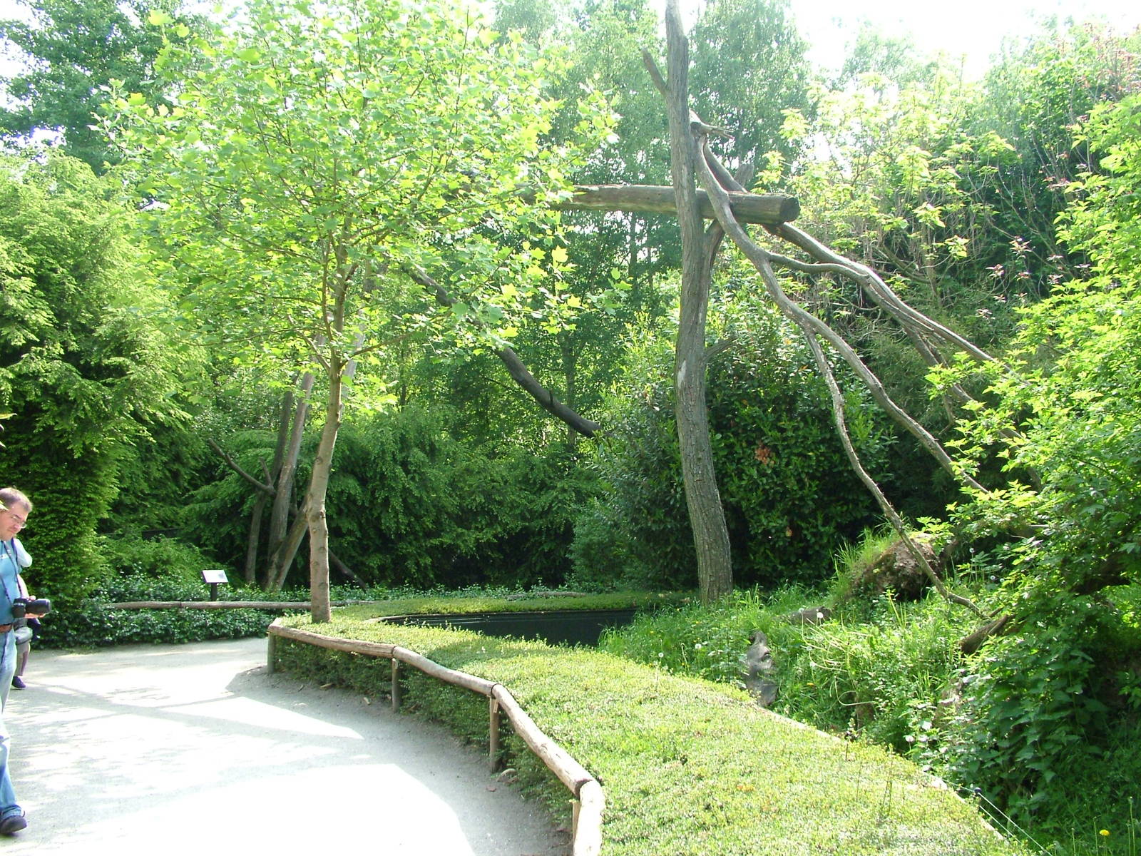 Binturong enclosure at Overloon 14/05/09
