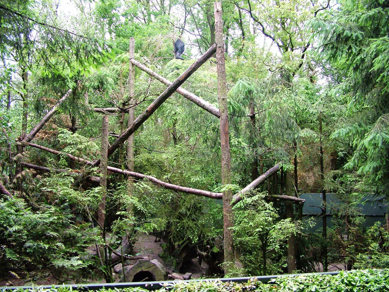 Binturong Enclosure at Wissel Zoo, Epe, 01/06/12