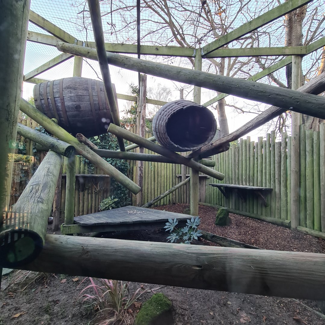 Binturong Enclosure, Drusillas Park