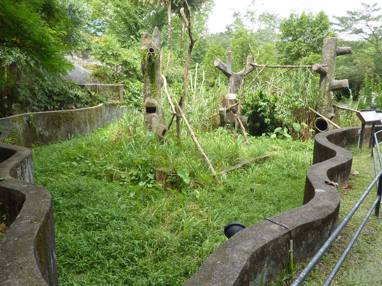 Binturong enclosure, May 2013