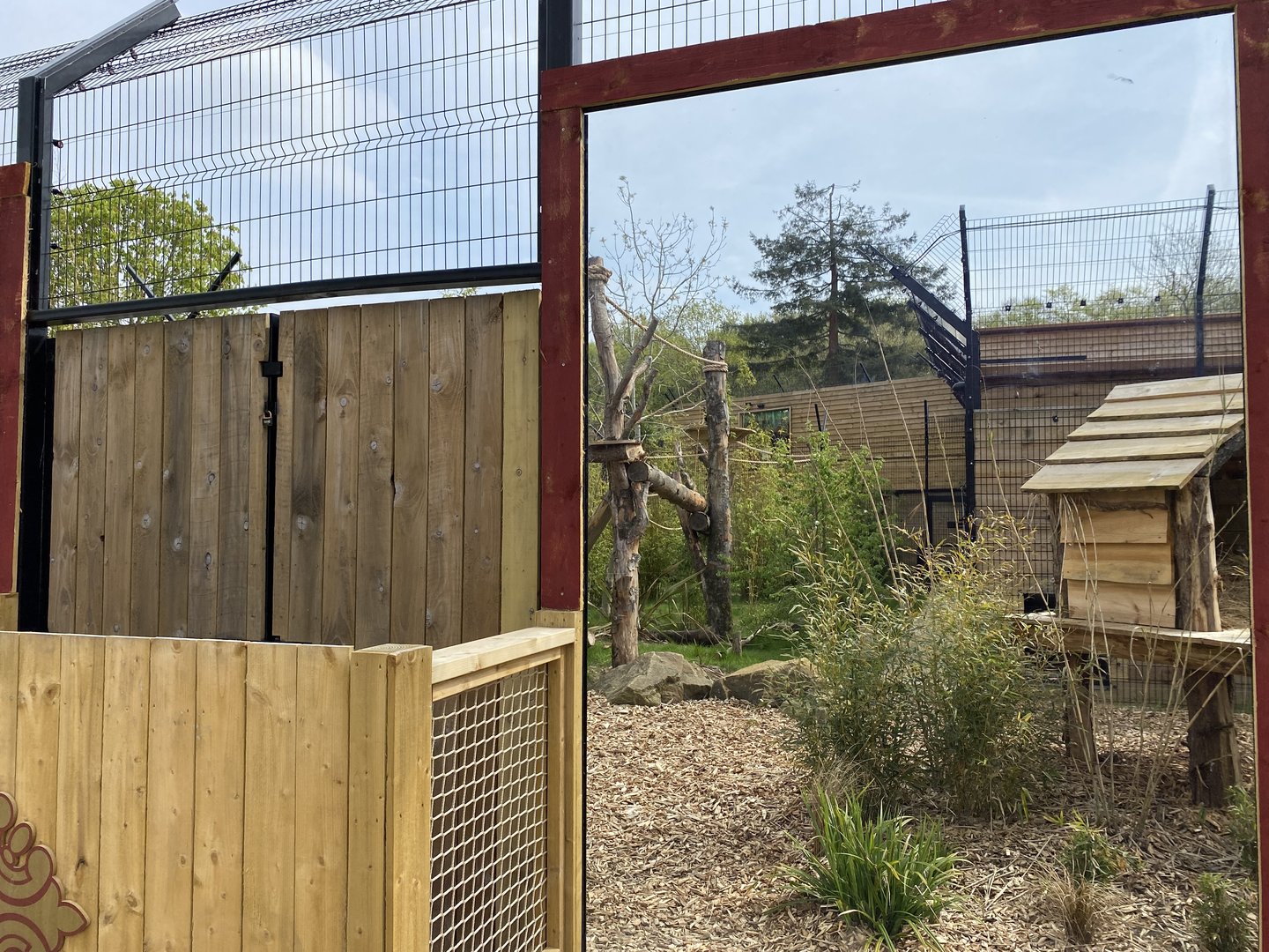 Binturong enclosure PWP