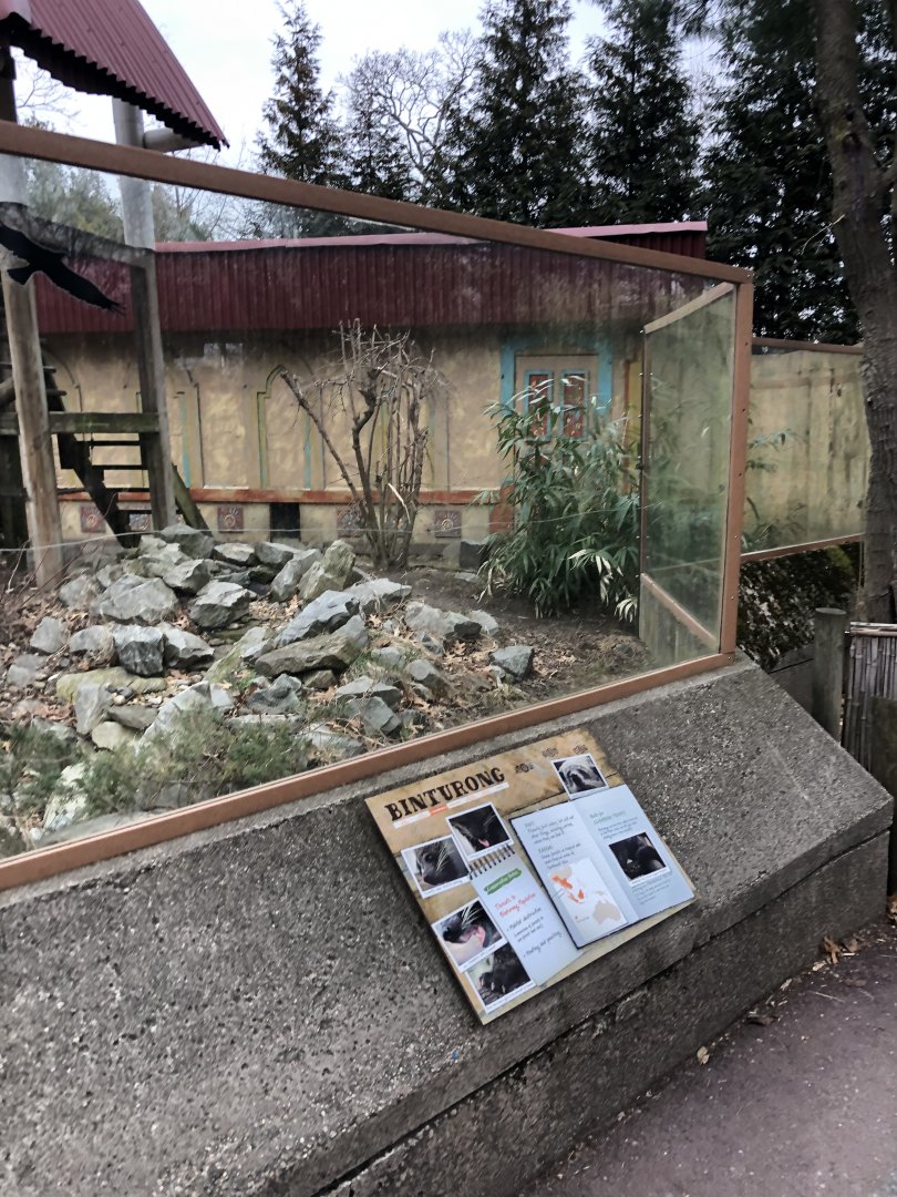 Binturong Enclosure Sign - Feb, 2020