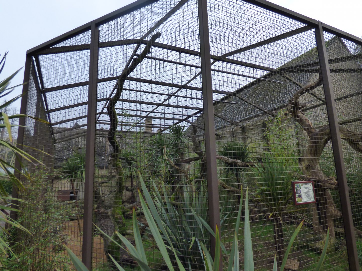 Binturong Enclosure