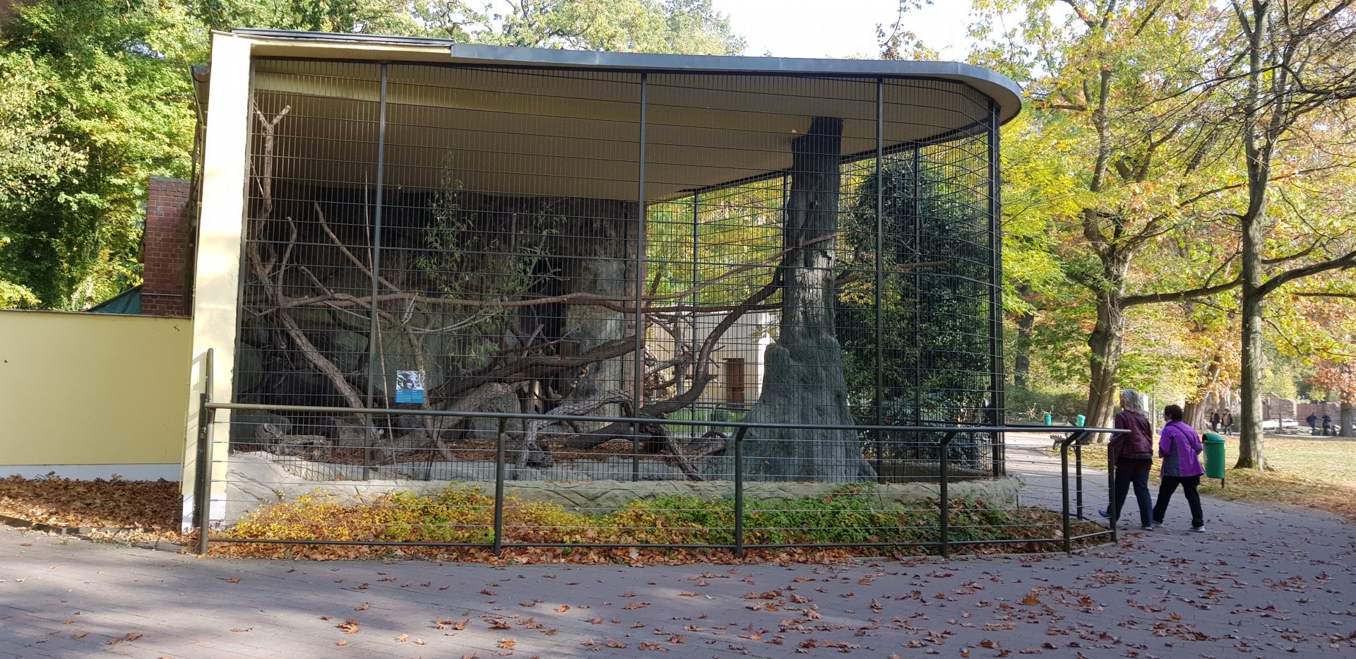 Binturong enclosure