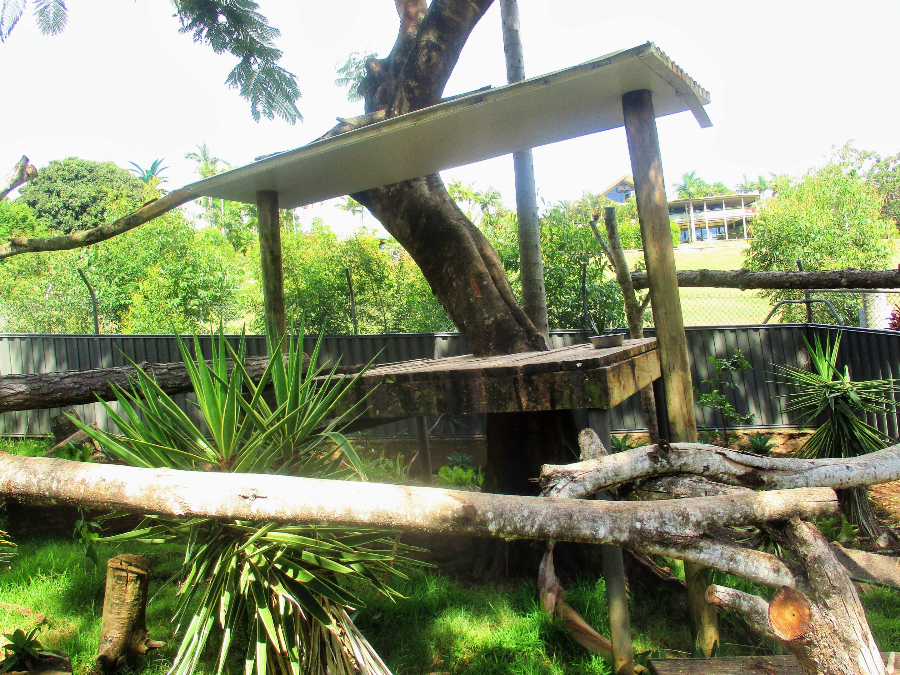 Binturong Enclosure
