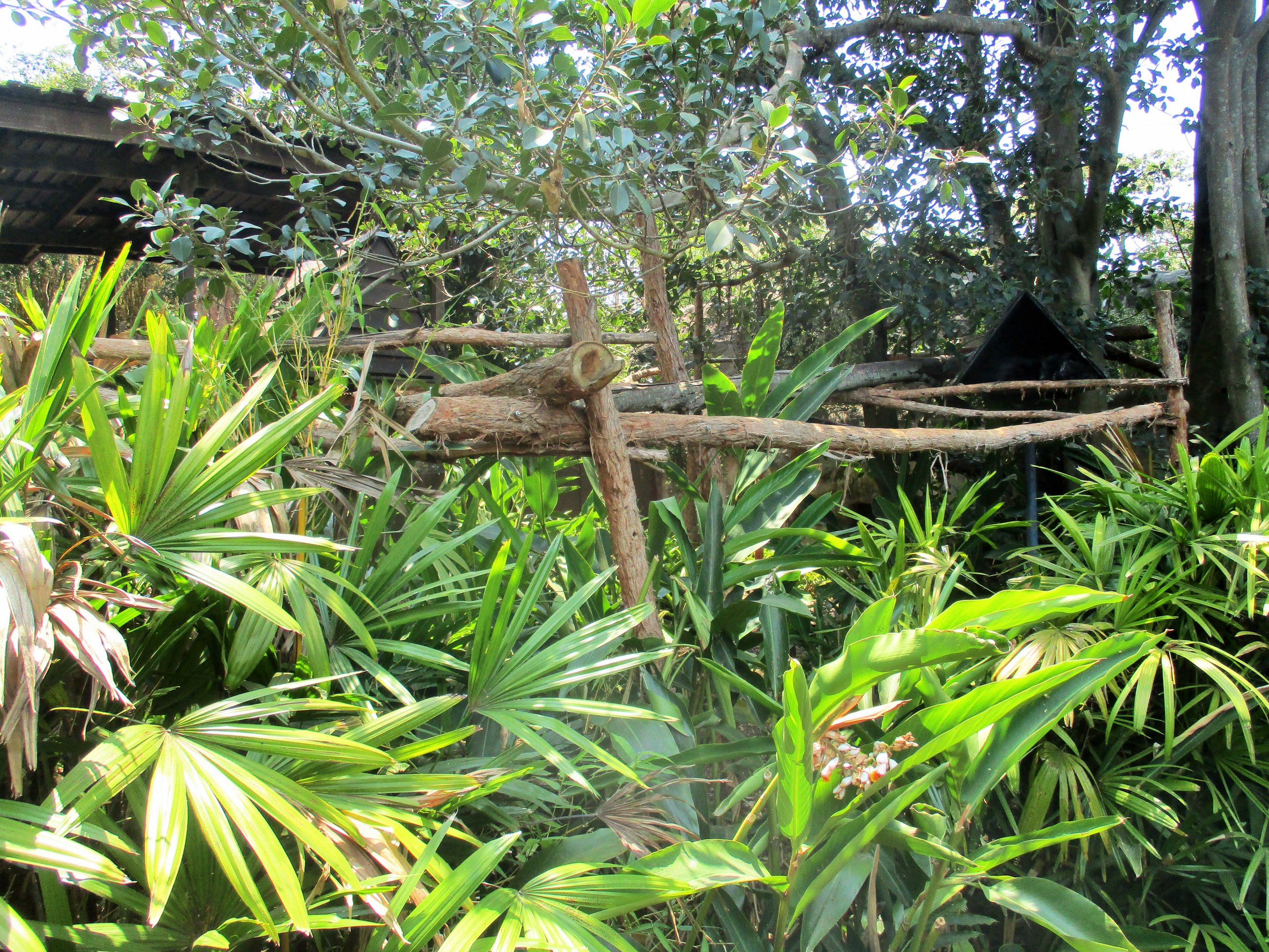 Binturong Enclosure