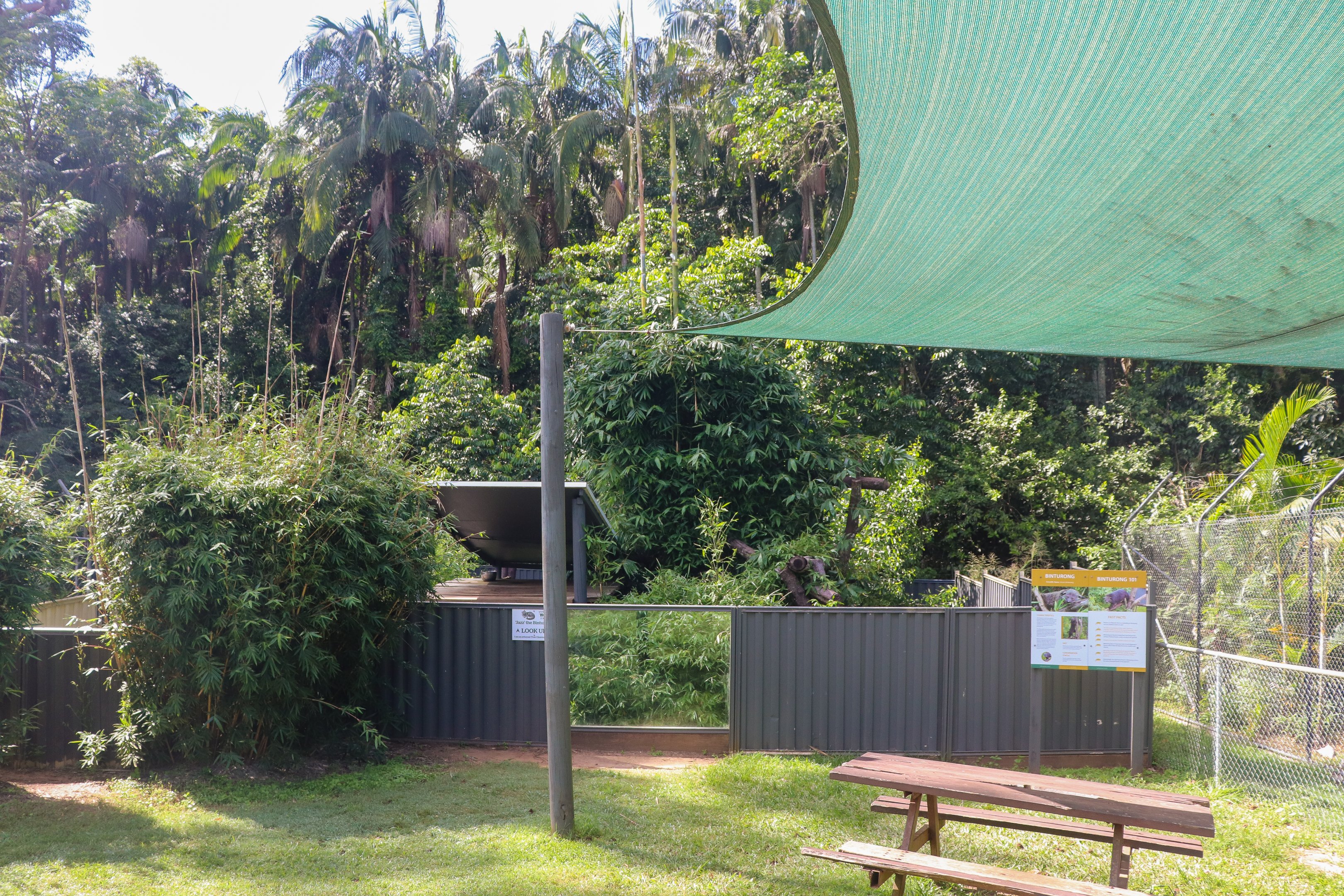 Binturong Enclosure