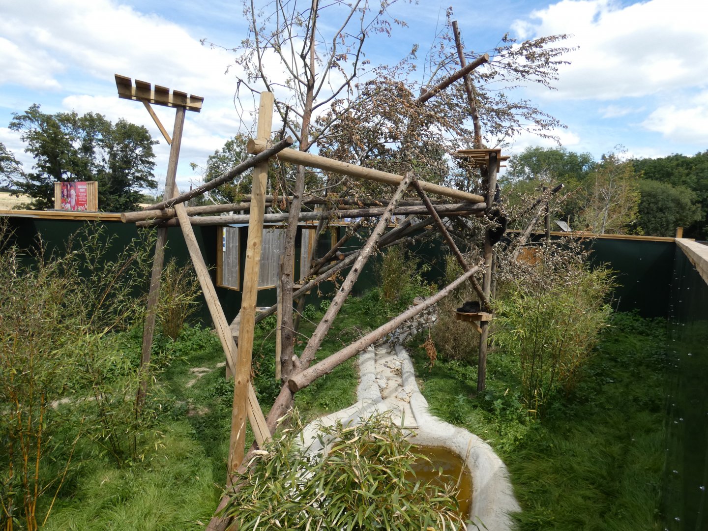 Binturong enclosure